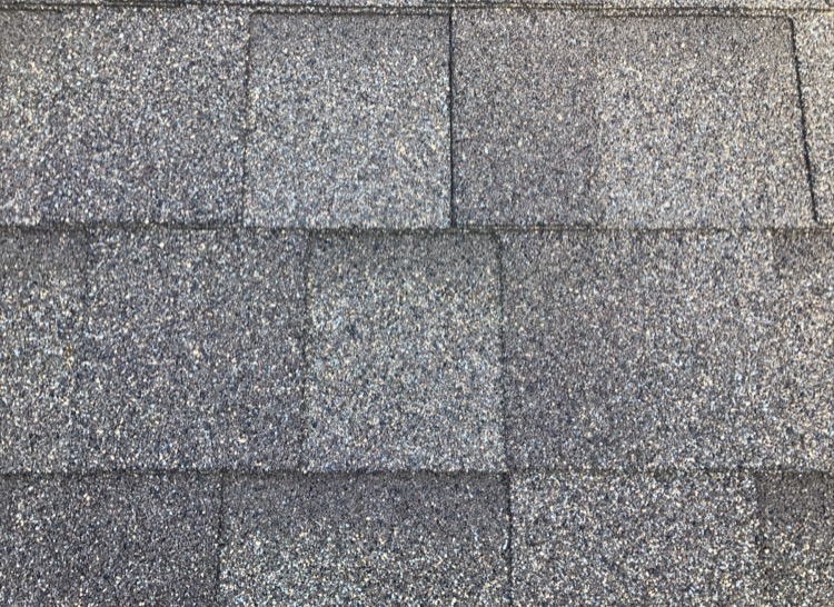 Asphalt shingle roof covering inspected during wind mitigation inspection in Hernando County Florida